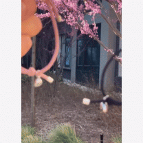 Everéne Loyalty Braclet - Set